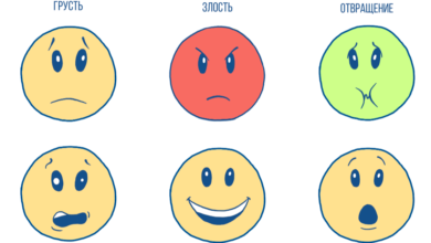 Photo of Как научиться выражать свои чувства и эмоции искренне?