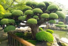 Photo of Как создать атмосферу взаимопонимания?