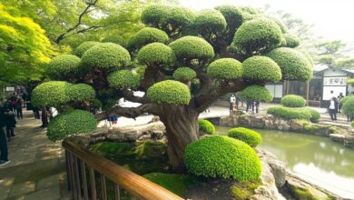 Photo of Как создать атмосферу взаимопонимания?