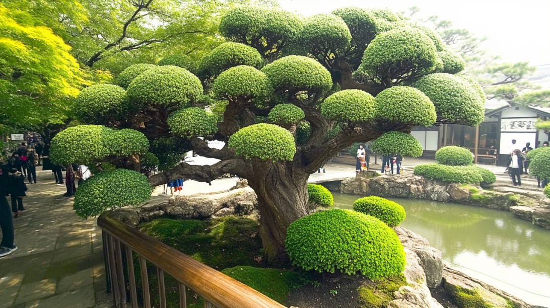 Фото 12 — Как создать атмосферу взаимопонимания?